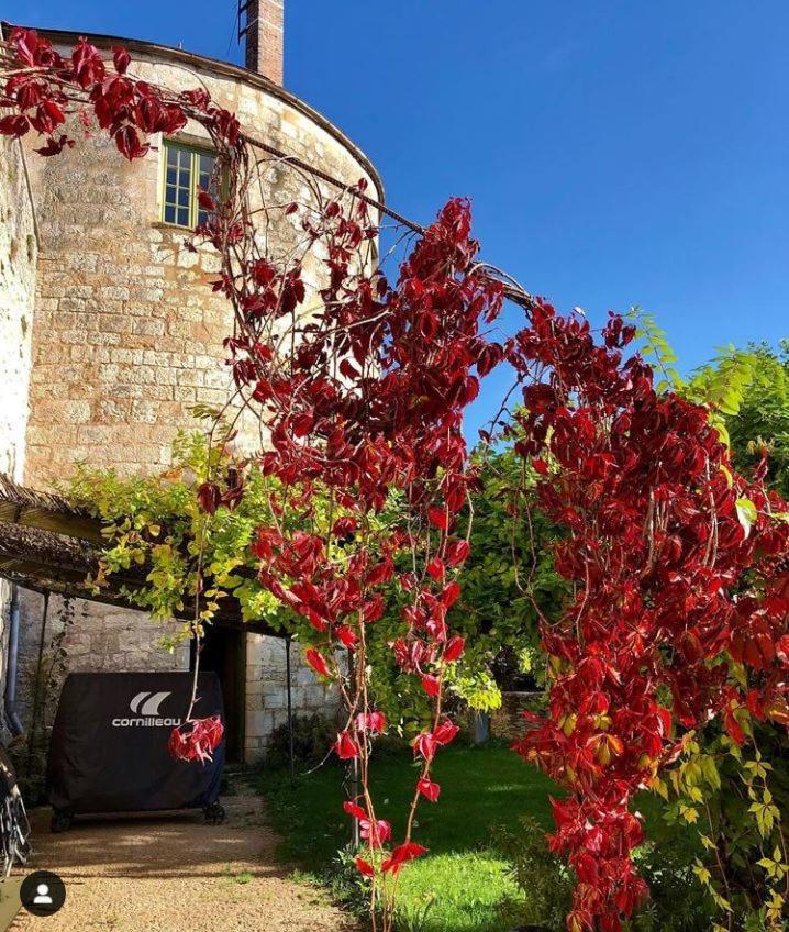 Cote-Serein La Privilege De La Tour Madame Noyers-sur-Serein Kültér fotó